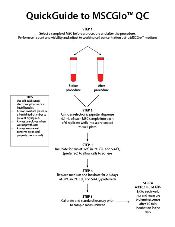 MSCGlo™ QC: An In Vitro Bioluminescence Assay to Quality Control Mesenchymal Stromal Cells (MSC) During Manufacture